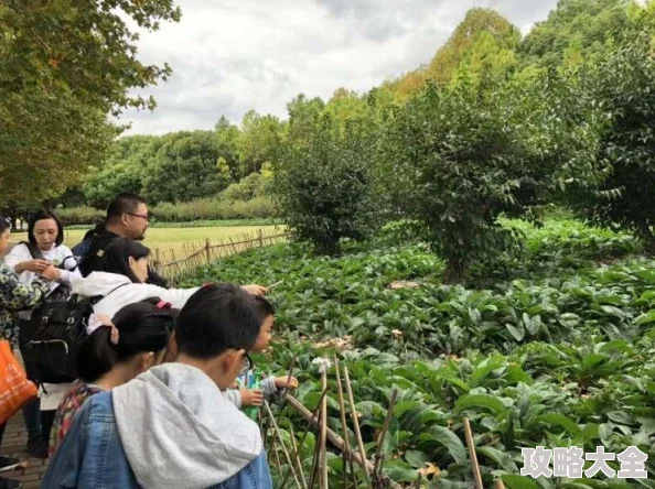 扒开让老师的进去网友：令人不适的低俗玩笑，希望停止传播