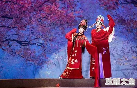 深度解析：最新枫叶岛战士技能加点与选择策略，助你全面优化战斗实力提升之路