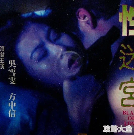 性迷宫欲望权力与认同的交织迷途