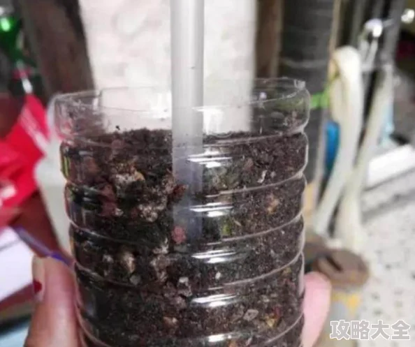 2025年DNF打孔颜色选择指南：热门职业推荐与最优搭配策略